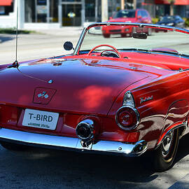 1955 t-bird by Laura Fasulo
