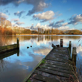 1st January by Ellen Van Bodegom