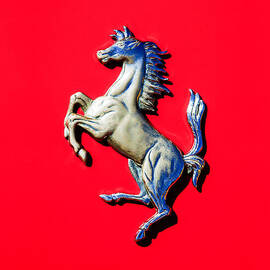 1954 Ferrari 500 Mondial Spider Series I Emblem by Jill Reger