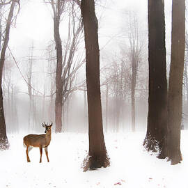 As Winter Calls by Jessica Jenney