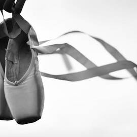 dance with the wind by Laura Fasulo