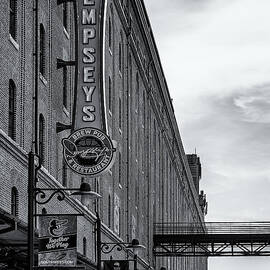 Dempseys Brew Pub by Susan Candelario