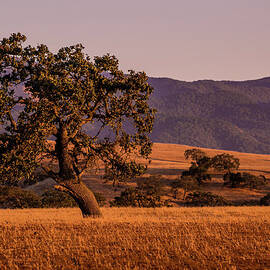 Exploring Santa Barbaras Wine Country by George Rose