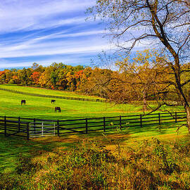 Fall Colors Horse Farm by Louis Dallara
