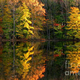 Fall Scene by Olivier Le Queinec