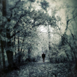 Mournful Journey by Jessica Jenney