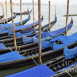 Row of empty moored gondolas by Sami Sarkis Photography