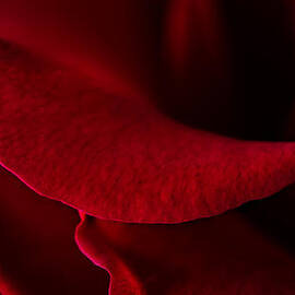 Ruby Lips by Mary Jo Allen