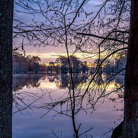Swamp Sunrise by David Morefield