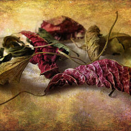 Timeworn by Jessica Jenney