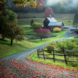 Untitled by David Yang