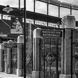 Watch Out For Batted Balls by Susan Candelario