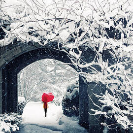 Winter's Lace by Jessica Jenney