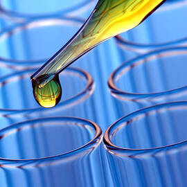 Laboratory Test Tubes in Science Research Lab by Science Research Lab