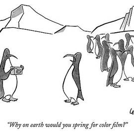 Why On Earth Would You Spring For Color Film? by Robert Leighton