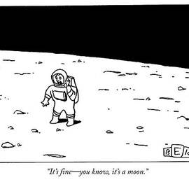 It's Fine - You Know by Bruce Eric Kaplan