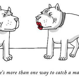 There's More Than One Way To Catch A Mailman by Farley Katz