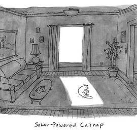 Solar Powered Catnap by Jason Patterson