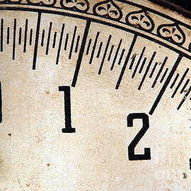 Antique Scale by Olivier Le Queinec