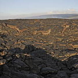 Cooled pahoehoe lava flow by Sami Sarkis Photography