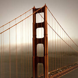 Lovely Golden Gate Bridge by Melanie Viola