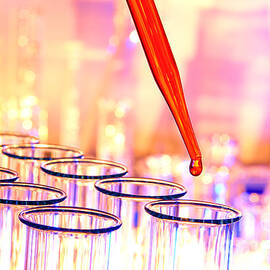 Laboratory Experiment in Science Research Lab by Science Research Lab