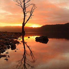 Loch Ard Sunrise by Grant Glendinning