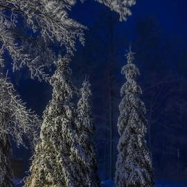 Rib Mountain State Park Snow by Dale Kauzlaric