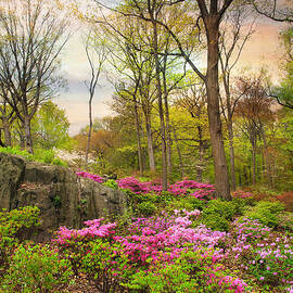 The Azalea Garden by Jessica Jenney