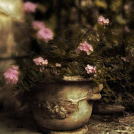 Vintage Planter by Jessica Jenney