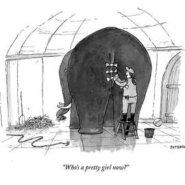 Who's A Pretty Girl Now? by Jason Patterson