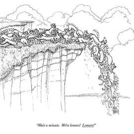 Wait A Minute.  We're Lemurs!  Lemurs! by Paul Noth