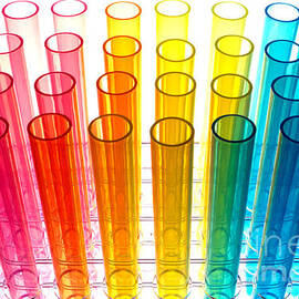 Laboratory Test Tubes in Science Research Lab by Olivier Le Queinec