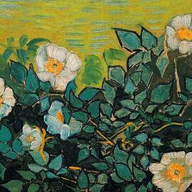 Wild Roses by Vincent Van Gogh