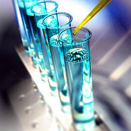 Laboratory Experiment in Science Research Lab  by Science Research Lab