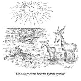 The Message Here Is 'hydrate by Edward Koren