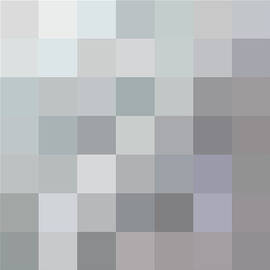 50 Shades of Grey by Richard Reeve