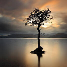Loch Lomond Sunset by Grant Glendinning