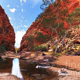 Simpsons Gap by Bill  Robinson