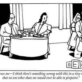 Excuse Me - I Think There's Something Wrong by Bruce Eric Kaplan