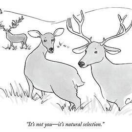 It's Not You - It's Natural Selection by Carolita Johnson