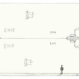 New Yorker January 10th, 2005 by Saul Steinberg