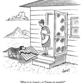 What Is It, Lassie - Is Timmy In Trouble? by Tom Cheney