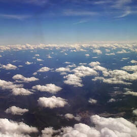 8 Miles High by Flees Photos