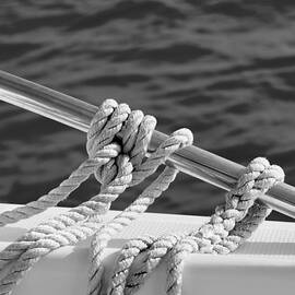 the ropes by Laura Fasulo