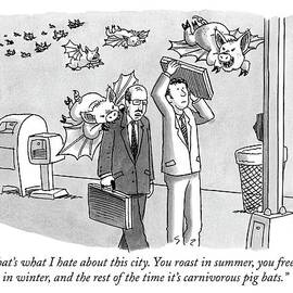 That's What I Hate About This City. You Roast by Joe Dator