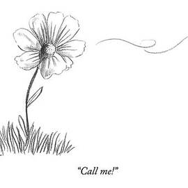 A Bee Flying Away From A Daisy After Pollination by Julian Rowe