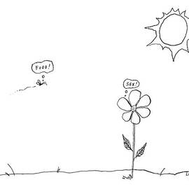 A Bee Thinking  Food! And A Flower Thinking  Sex! by Liana Finck
