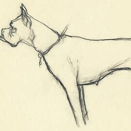 A Boxer Dog by Carl Oscar August Erickson