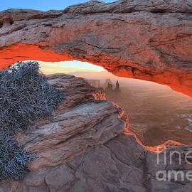 A Brush With Dawn by Adam Jewell